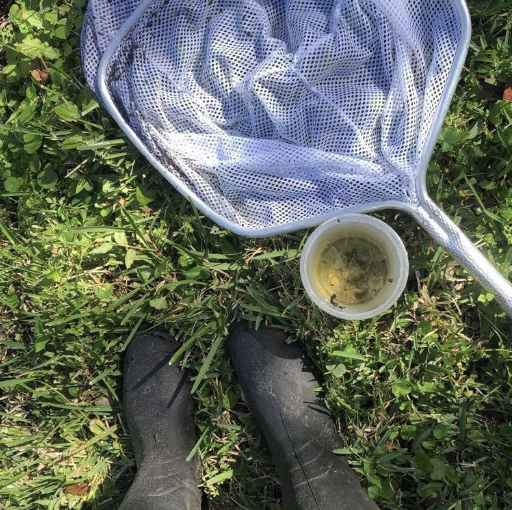 rain boots, a cup of water with bugs in it, and a net in the grass